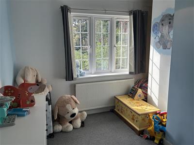 Picture 16
